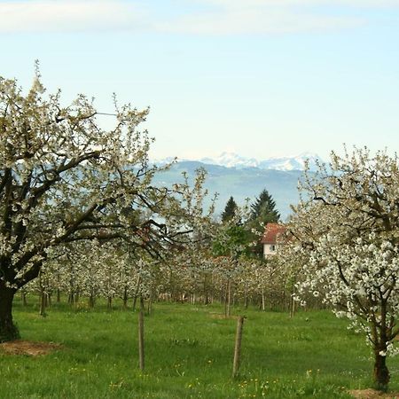 Villa Linke Am Bodensee Nonnenhorn Zewnętrze zdjęcie