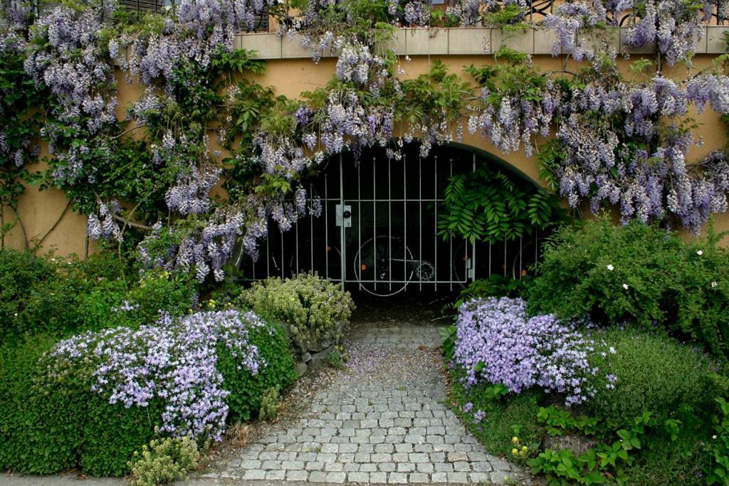 Villa Linke Am Bodensee Nonnenhorn Zewnętrze zdjęcie