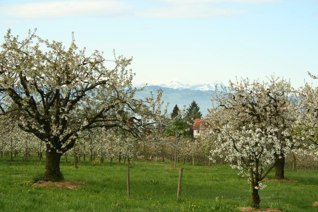 Villa Linke Am Bodensee Nonnenhorn Zewnętrze zdjęcie